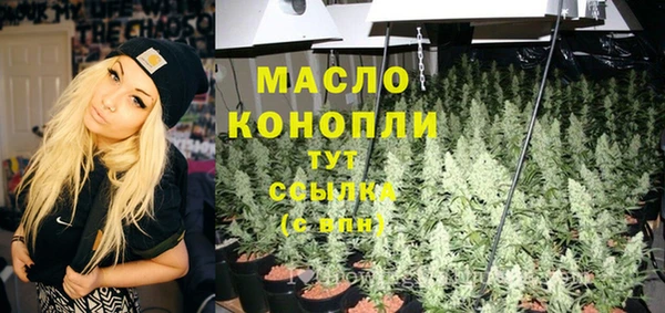 винт Горняк