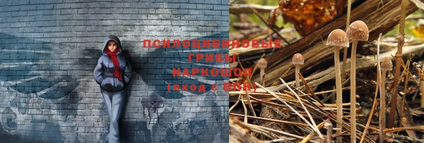 винт Горняк