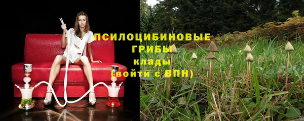 твердый Вязьма