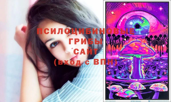 винт Горняк