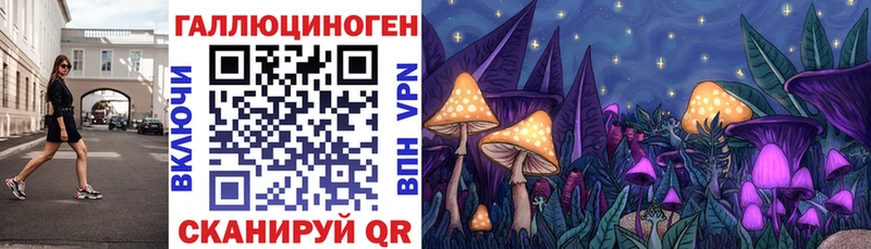 где продают   Зея  Псилоцибиновые грибы Magic Shrooms 